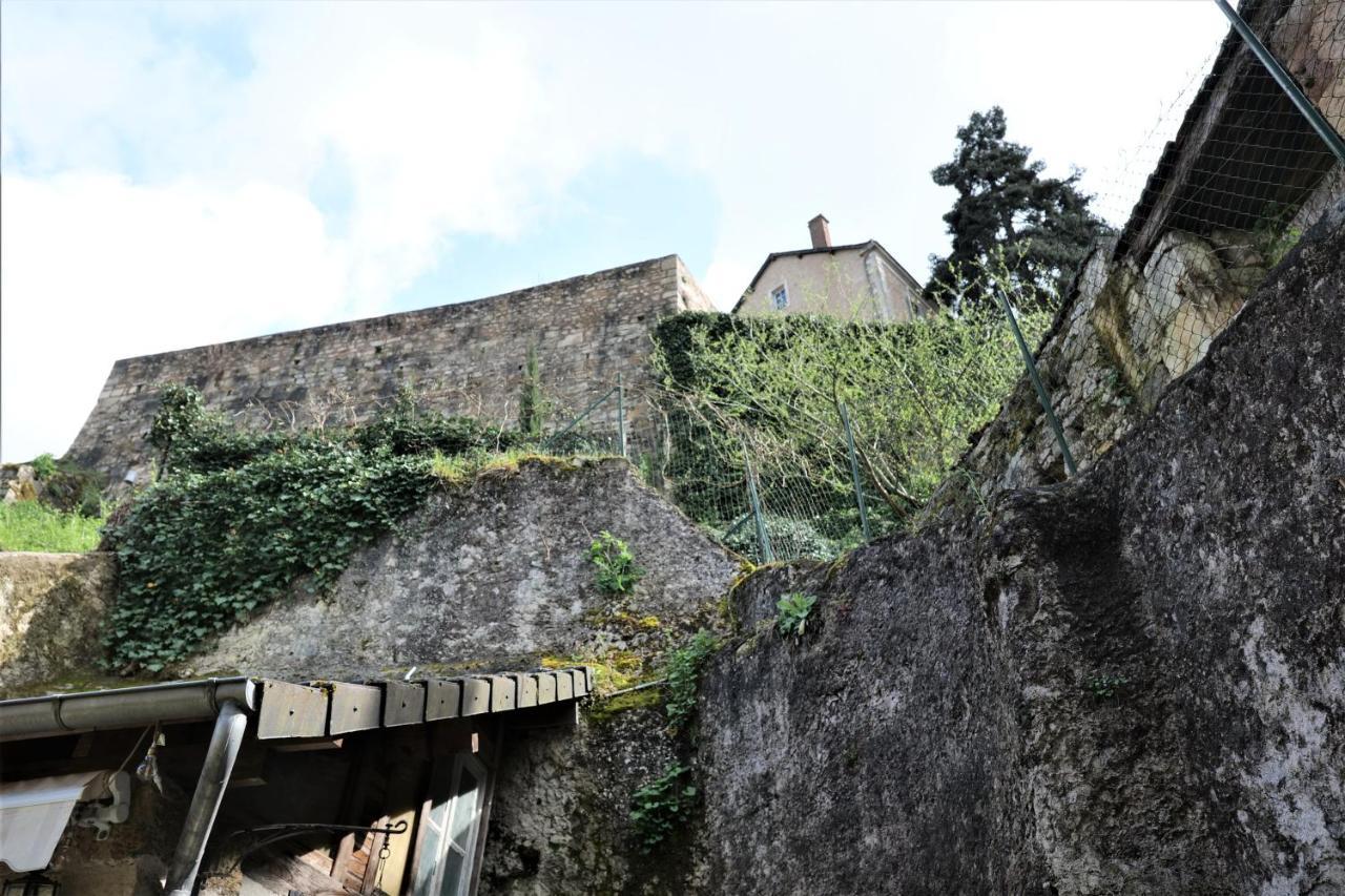 maison sans vis à vis dans centre historique Vila Terrasson Exterior foto